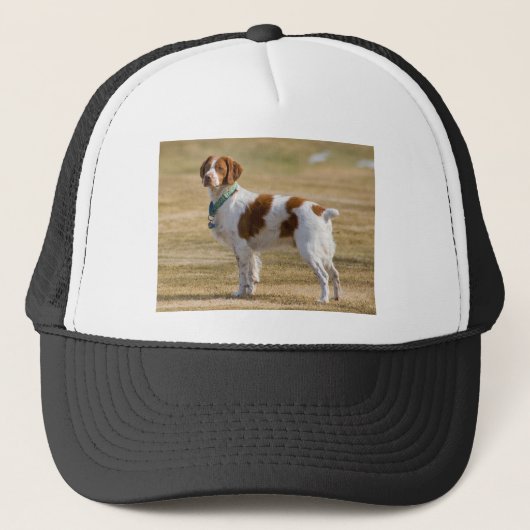Brittany Spaniel Trucker Pet (Voorkant)