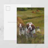 Brittany Spaniel Uitnodiging Briefkaart (Voorkant / Achterkant)