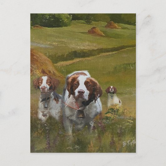 Brittany Spaniel Uitnodiging Briefkaart (Voorkant)