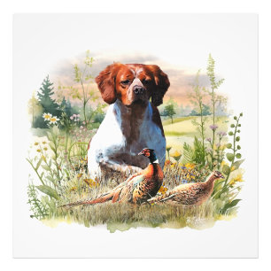 Brittany Spaniel – Veld, Focus, Fazant, Kunst Foto Afdruk