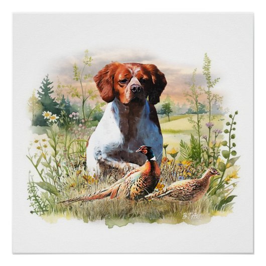 Brittany Spaniel – Veld, Focus, Fazant, Kunst Perfect Poster (Voorkant)
