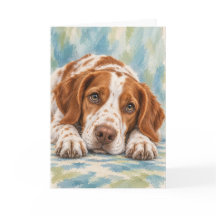 Brittany Spaniel Wenskaart