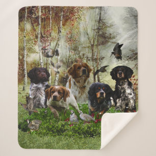 Brittany Spaniels, Vogeljacht Sherpa Deken