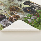 Brittany Spaniels, Vogeljacht Sherpa Deken (3/4)