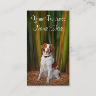 Brittany Visitekaartje