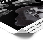 Brittany-Walker-lr Poster (Hoek)