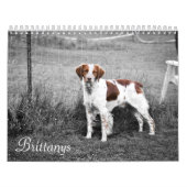 Brittanys Kalender (Hoes)