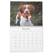 Brittanys Kalender (Mar 2026)