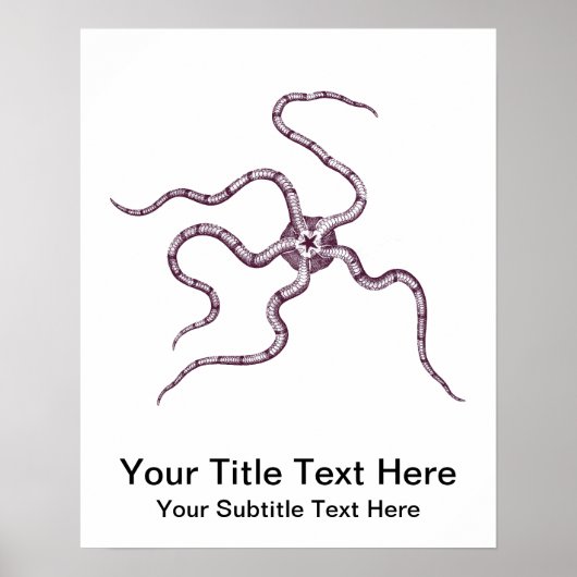 Brittle Star - Serpent Star - Marine Biology Poster (Voorkant)