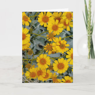 Brittlebush Flowers Wenskaart_aanpasbaar Kaart