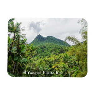 Britton en el-yunque landschap magneet