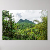 Britton en el-yunque landschap poster (Voorkant)