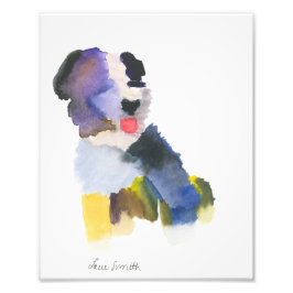 Brix afdrukken foto afdruk