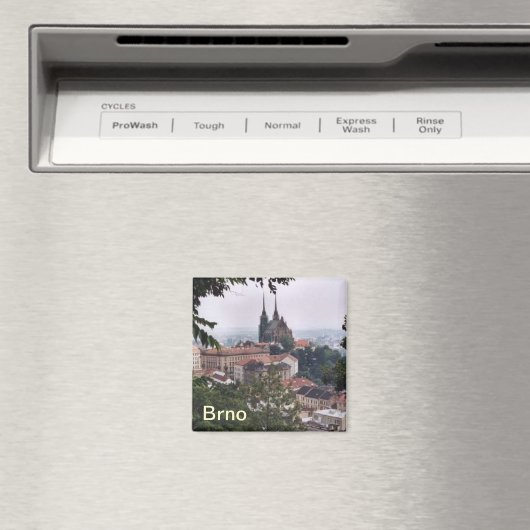 Brno magneet (Insitu (Vaatwasser))