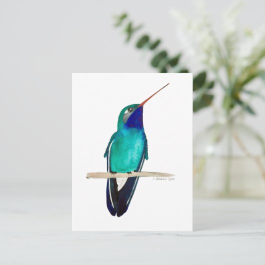 Broad-billed Hummingbird Briefkaart (Staand voorkant)
