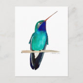 Broad-billed Hummingbird Briefkaart (Voorkant)