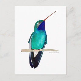Broad-billed Hummingbird Briefkaart
