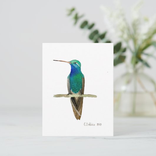 Broad-billed Hummingbird Briefkaart (Staand voorkant)