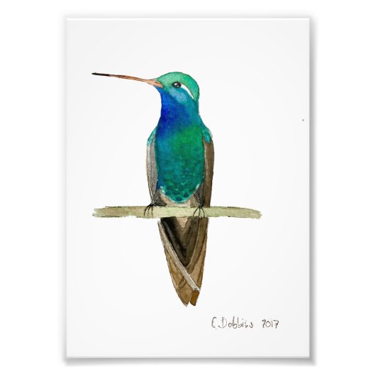 Broad-billed Hummingbird Foto Afdruk (Voorkant)