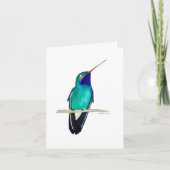 Broad-billed Hummingbird Kaart (Voorkant)