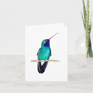 Broad-billed Hummingbird Kaart