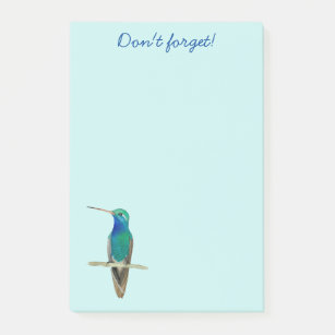 Broad-billed Hummingbird Post-it Notes
