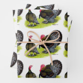 Broad Breasted Bronze Inpakpapier Vel (In situ)