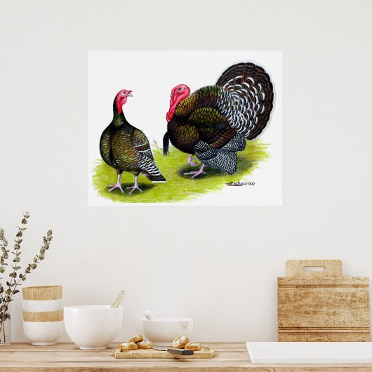 Broad Breasted Bronze Poster (Keuken)