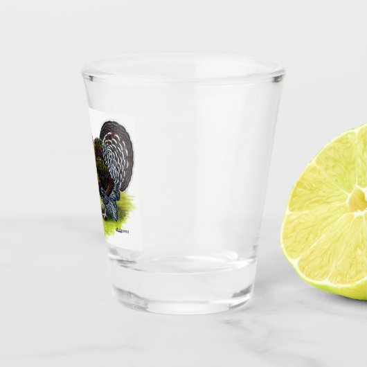 Broad Breasted Bronze Shot Glas (Rechts)