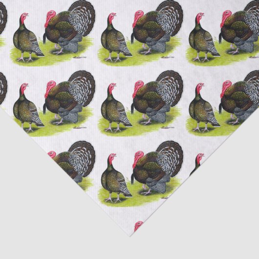 Broad Breasted Bronze Tissuepapier (Detail)