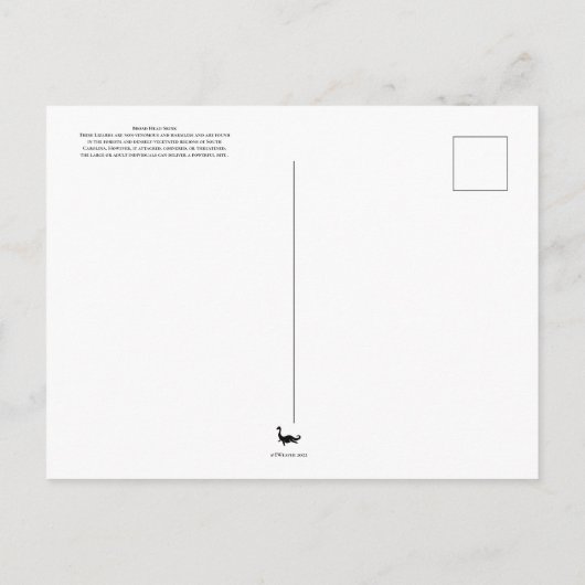 Broad Head Skink Briefkaart (Achterkant)