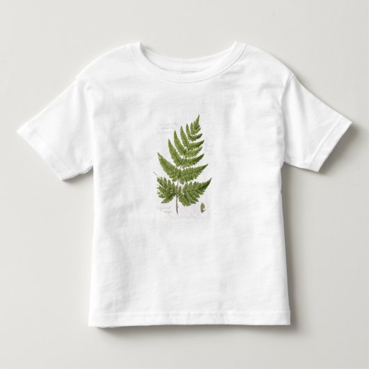 Broad Prickly-toothed Buckler Fern, geschilderd te Kinder Shirts (Voorkant)