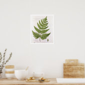 Broad Prickly-toothed Buckler Fern, geschilderd te Poster (Keuken)