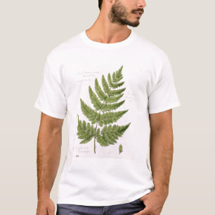 Broad Prickly-toothed Buckler Fern, geschilderd te T-shirt