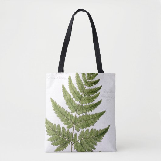 Broad Prickly-toothed Buckler Fern, geschilderd te Tote Bag (Voorkant)
