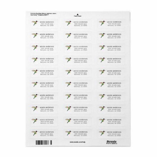 Broad-tailed Hummingbird Return Address Label (Full Sheet)