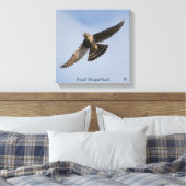 Broad Winged Hawk Canvas Afdruk (Insitu (Slaapkamer))