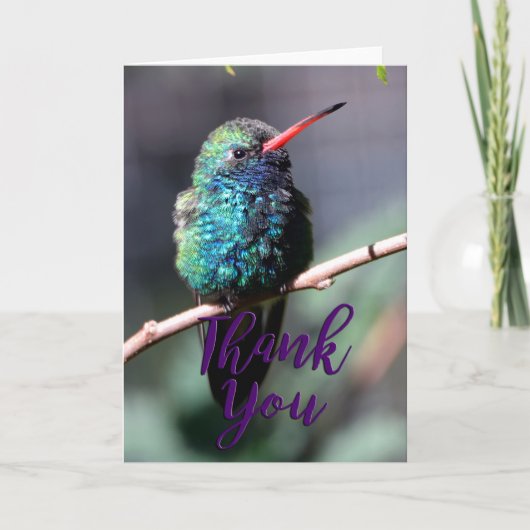 Broadbons Hummingbird Foto Hartelijk dank! Bedankkaart (Voorkant)