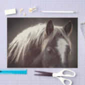 Broadfoot Colt Tissuepapier (Craft)