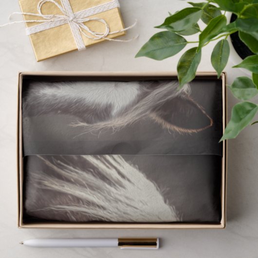 Broadfoot Colt Tissuepapier (Geschenk)