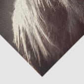 Broadfoot Colt Tissuepapier (Detail)