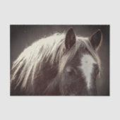 Broadfoot Colt Tissuepapier (Voorkant)