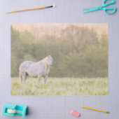 Broadfoot Mare Tissuepapier (Craft)