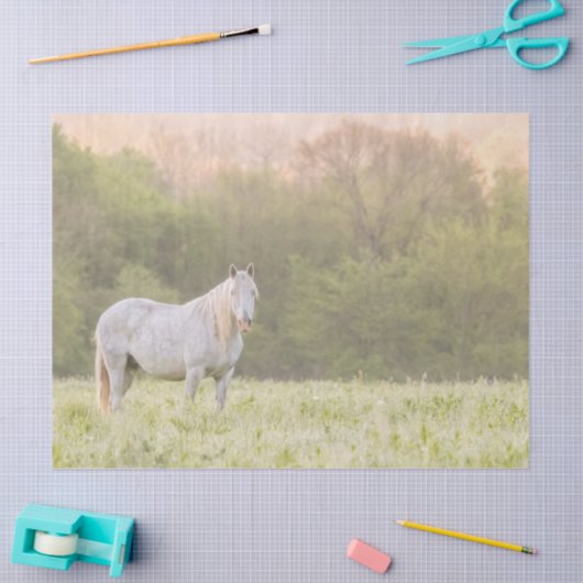 Broadfoot Mare Tissuepapier (Craft)