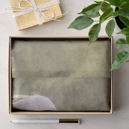 Broadfoot Mare Tissuepapier (Geschenk)