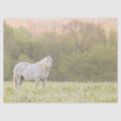 Broadfoot Mare Tissuepapier (Voorkant)