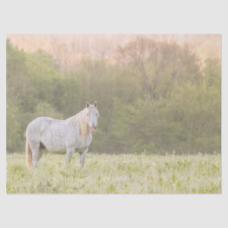 Broadfoot Mare Tissuepapier