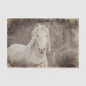 Broadfoot Stallion 18 ob. Weefselontkoppelpapier Tissuepapier (Voorkant)