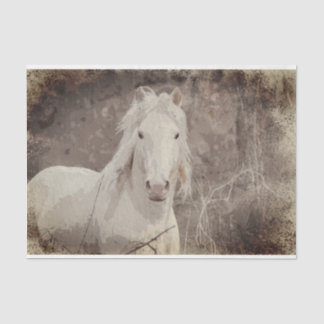 Broadfoot Stallion 18 ob. Weefselontkoppelpapier Tissuepapier