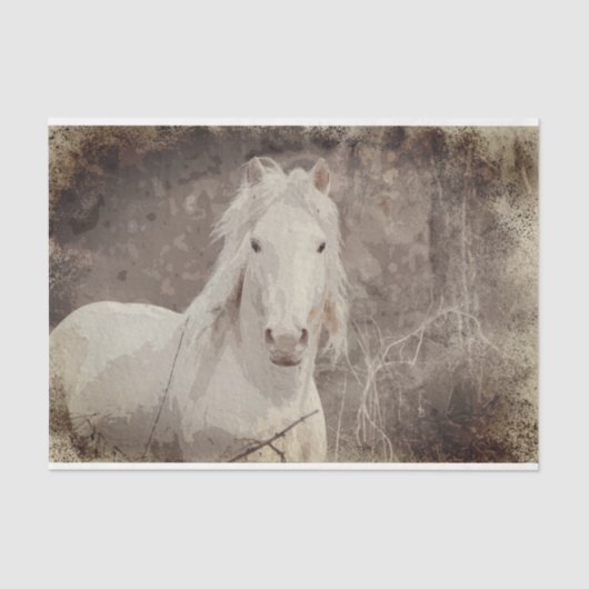 Broadfoot Stallion 18 ob. Weefselontkoppelpapier Tissuepapier (Voorkant)